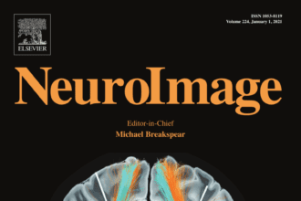 neuroimage - publishes original research articles